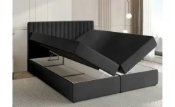Boxbett Dream