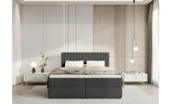 Boxbett Dream