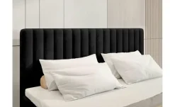 Boxbett Dream