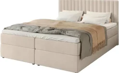 Boxbett Dream