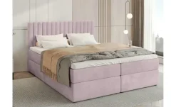Boxbett Dream