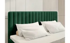 Boxbett Dream