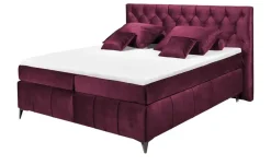 Boxspringbett Pembroke