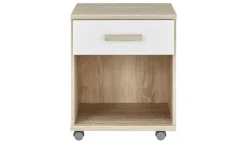 Container Cariba