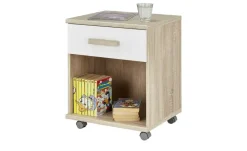 Container Cariba