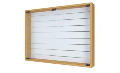 Hängevitrine
