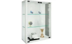 Hängevitrine
