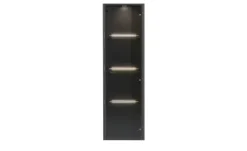 Hängevitrine Light Line 10