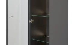 Hängevitrine Light Line 10