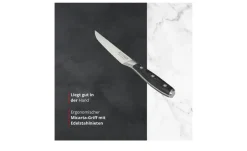 Meisterkoch Steakmesser PRIMUS