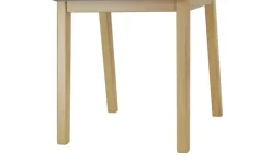 Polsterstuhl Darian