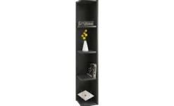 Regal
