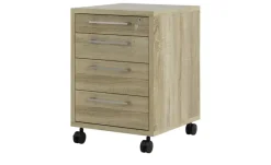 Rollcontainer Saale