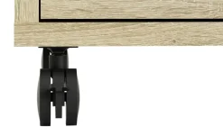 Rollcontainer Saale