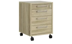 Rollcontainer Saale