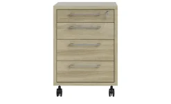 Rollcontainer Saale