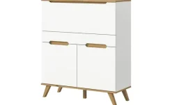 Sekretär Torso